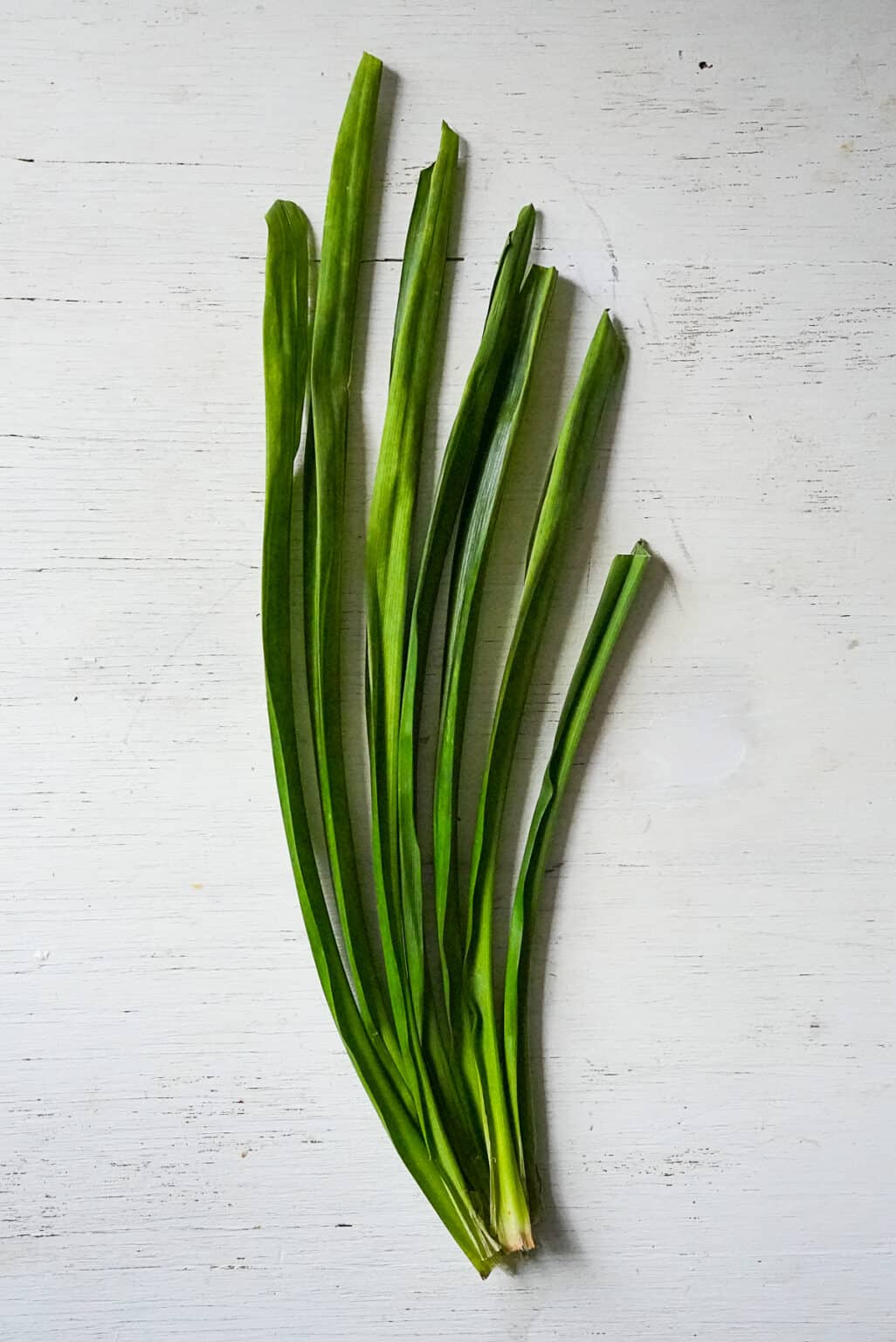 Pandan Rawa Pandan Juice - Rachel Cooks Thai