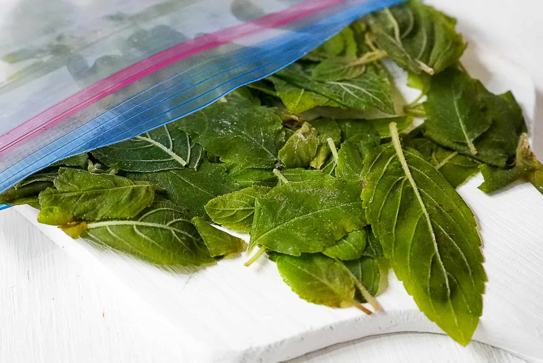 Frozen holy basil leaves in a freezer safe ziploc bag