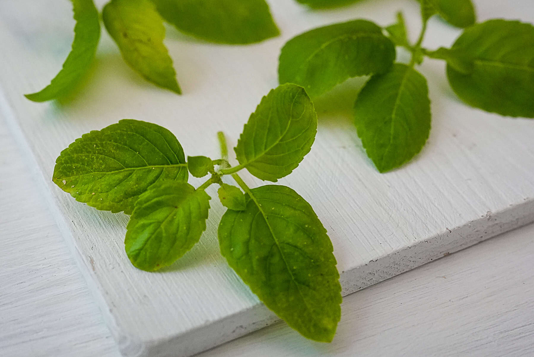 Four sprigs of holy basil laying on a cutting board showcasing the sawtoothed leaf edges