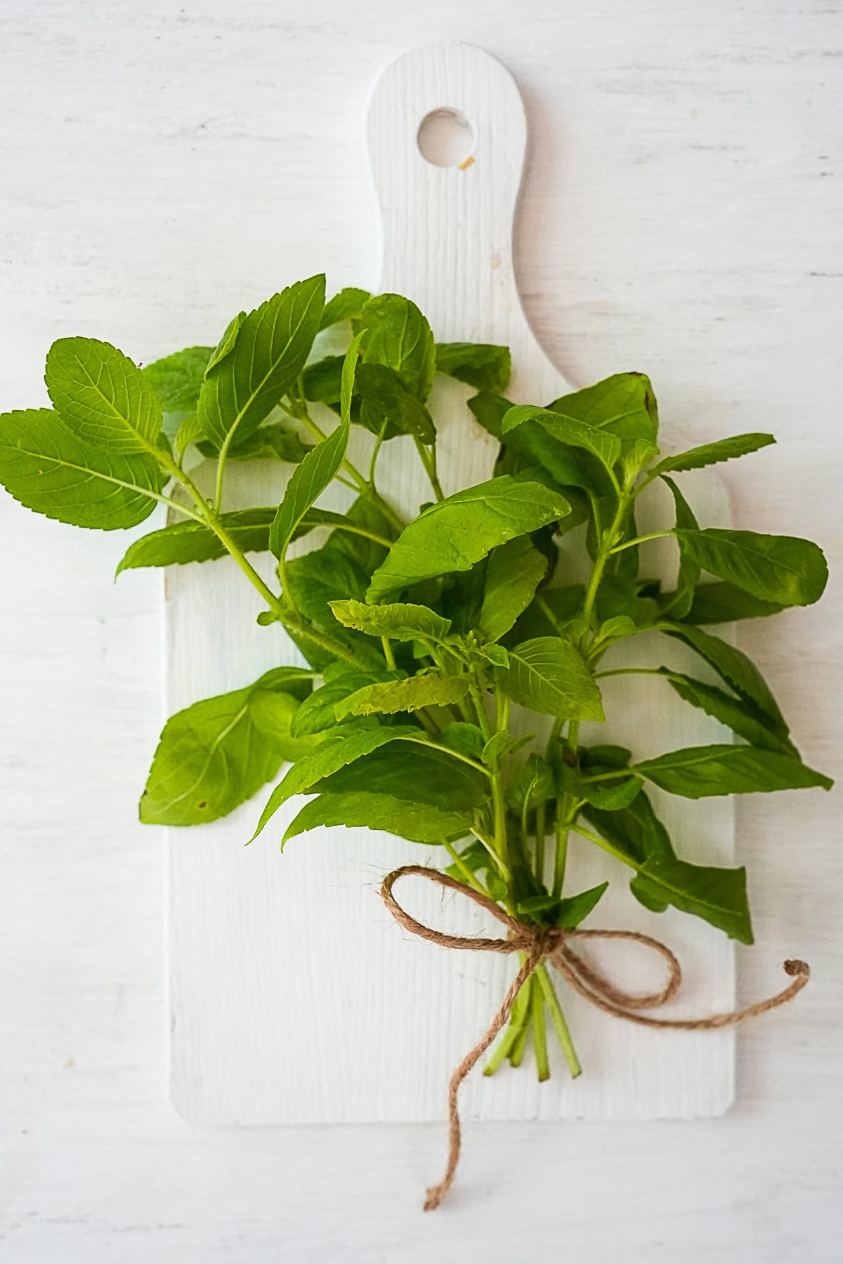 A bouquet of Thai holy basil stems tied with jute ribbon laying on a white cutting board