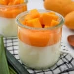 Coconut Panna Cotta with Mango Puree.